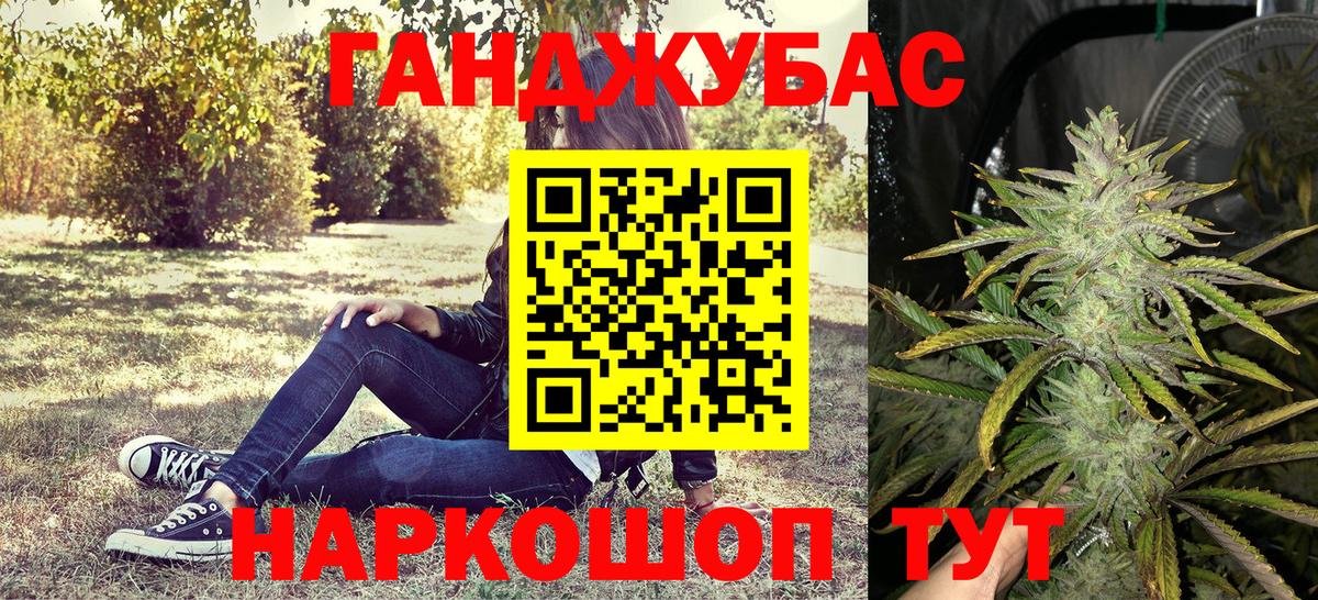 Каннабис планчик Лабытнанги